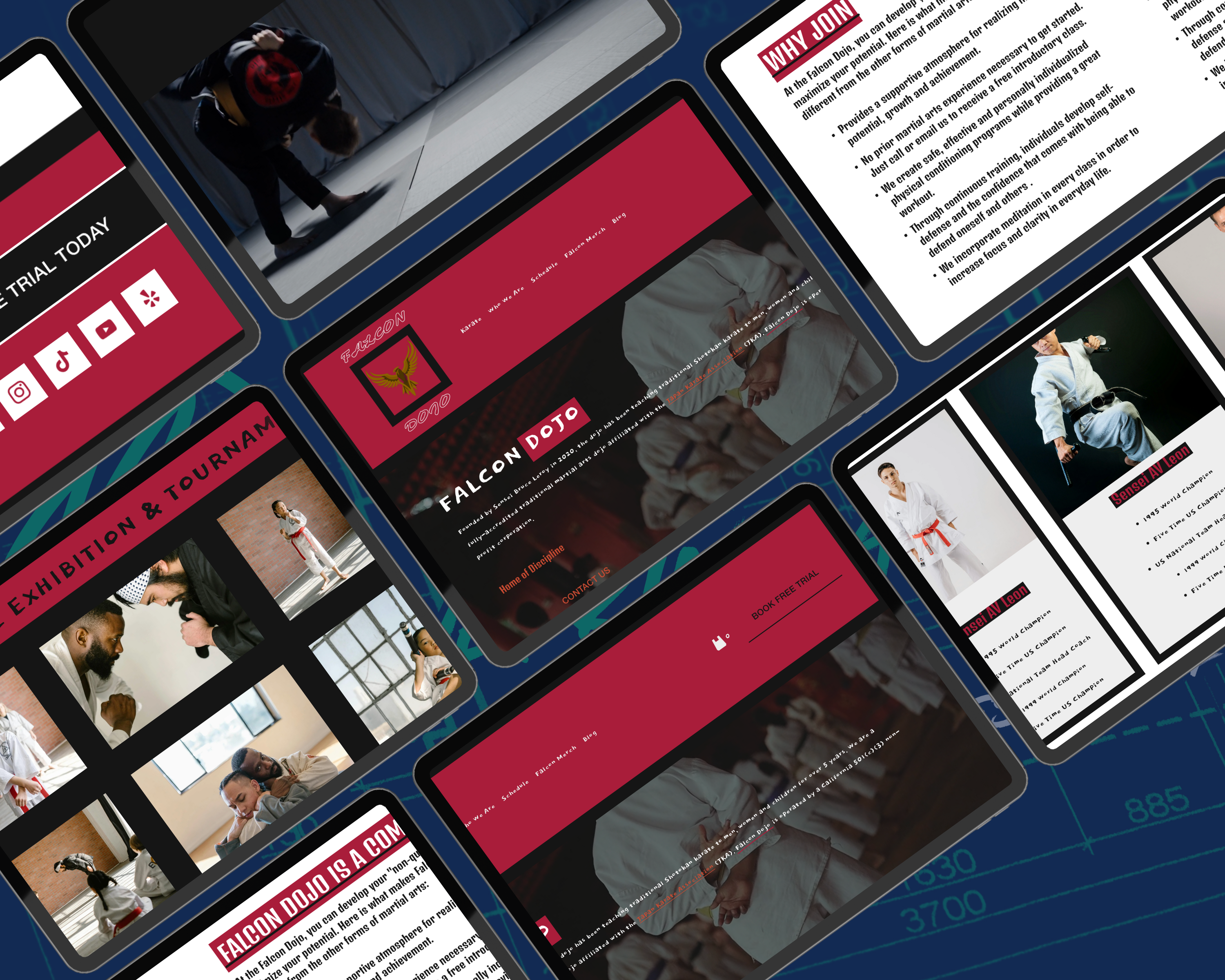 Falcon Dojo Squarespace Template Blueprint Avenue
